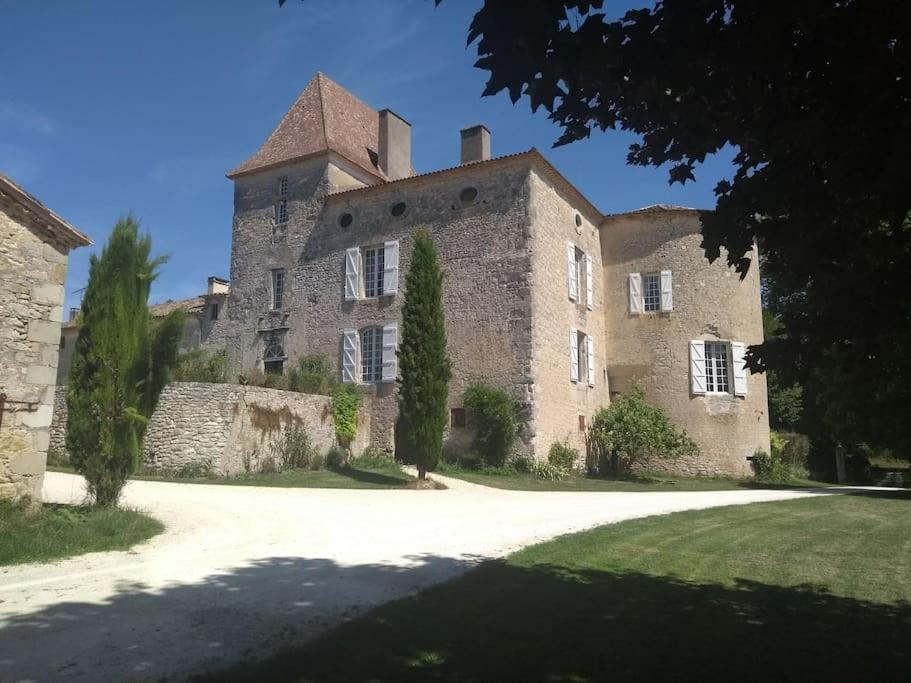 Chateau Barayre - Beautiful 12Th Century Castle With Pool And Large Garden Laussou Buitenkant foto