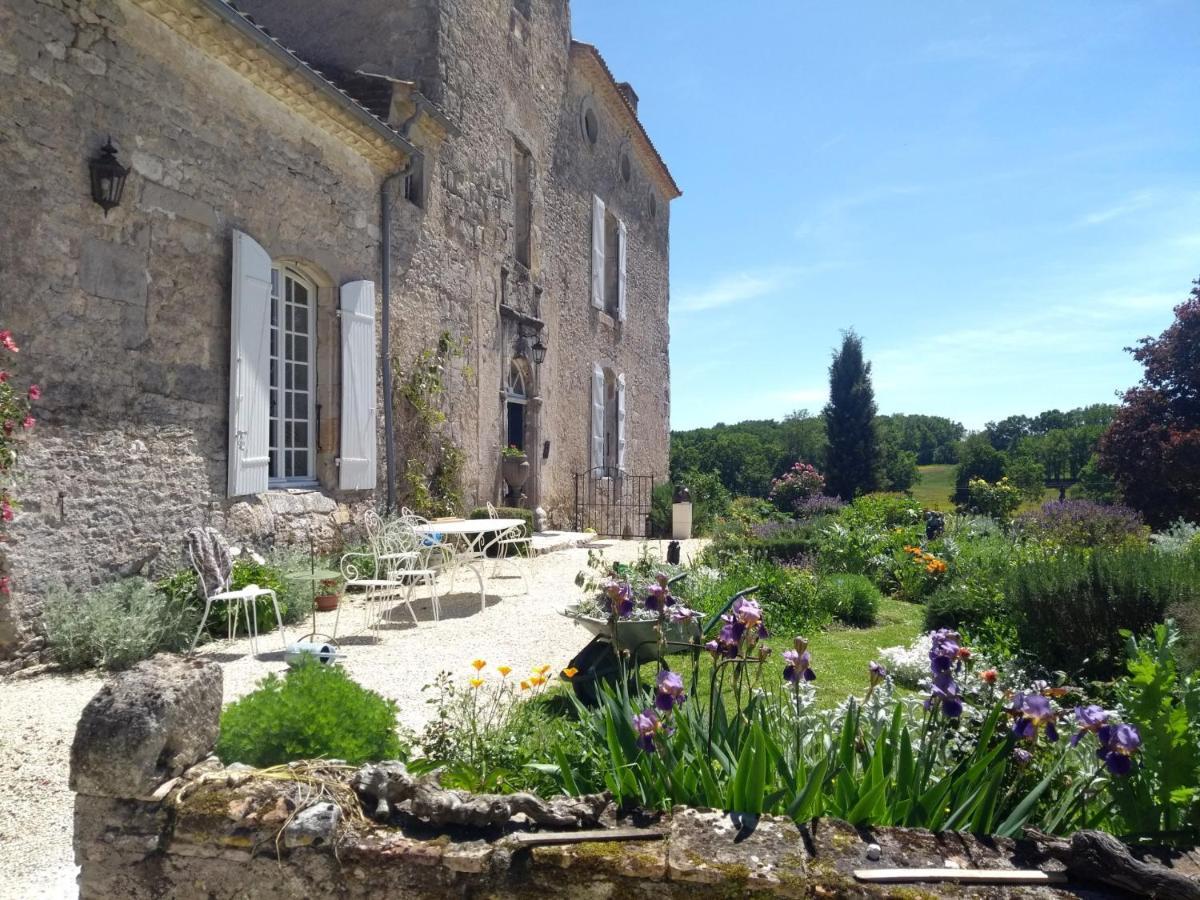 Chateau Barayre - Beautiful 12Th Century Castle With Pool And Large Garden Laussou Buitenkant foto